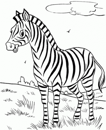 Free Printable Zebra Coloring Pages For Kids | Great Coloring Pages