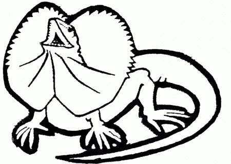 Drawings Of Lizards ClipArt Best 184952 Lizard Coloring Pages