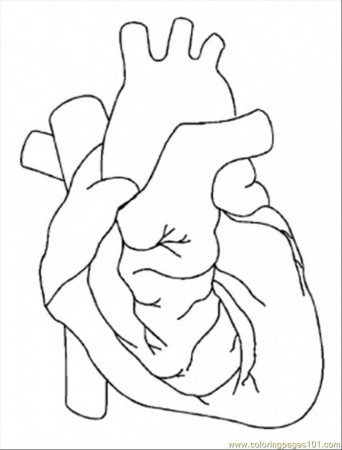 Coloring Pages Heart (Peoples > Body) - free printable coloring 