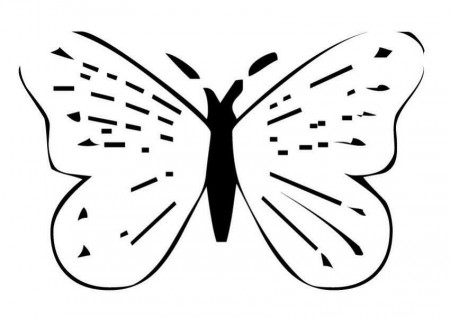 BUTTERFLY coloring pages - Butterfly sketch