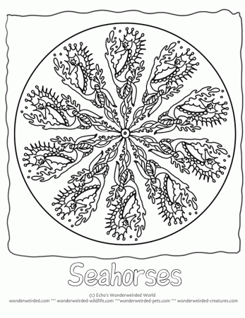 Seahorse Animal Mandalas To Color,Free Seahorse Coloring Pages 