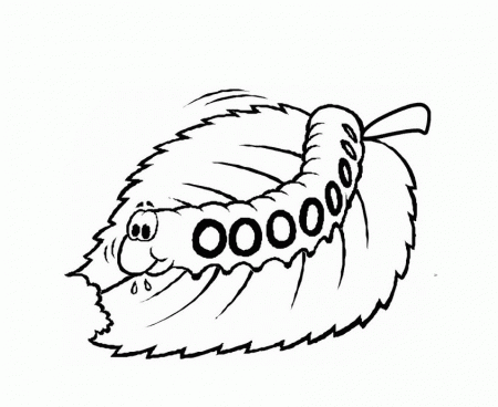Caterpillar Coloring Pages and Book | UniqueColoringPages