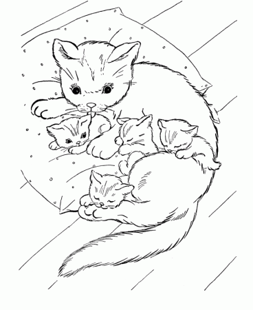 Kitten Coloring Pages, Cute Gift For Your Kids | Printable 