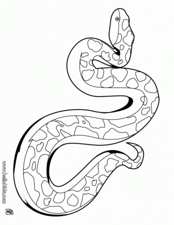 Snake Color Pictures | 99coloring.com