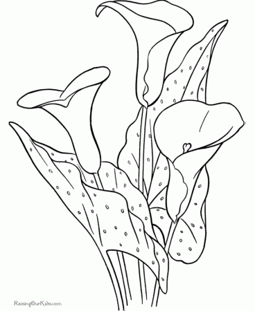 Flower coloring sheet | COLOR&CLIP ART-Flowers/Trees/Leaves/etc | Pin…