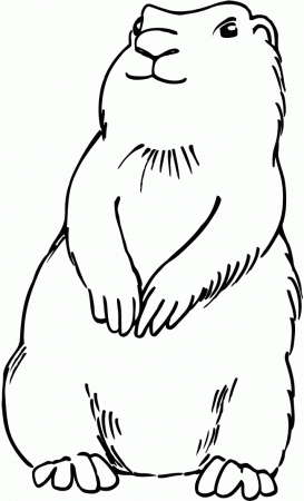prairiedog Colouring Pages (page 3)