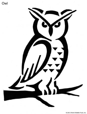 Owl Stencil Cute Animal Images To Print Free Stencils Patterns 