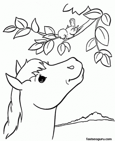 animal alphabet coloring page pictures best