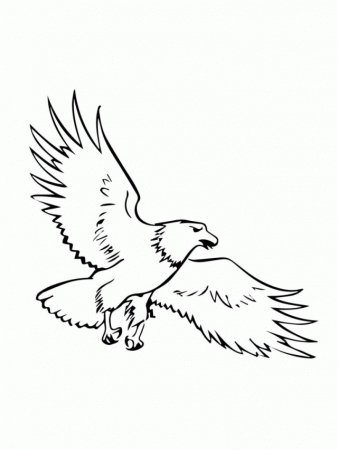 Coloring Pages of Bald Eagle | Coloring Pages