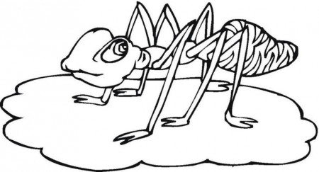 ant coloring pages : Printable Coloring Sheet ~ Anbu Coloring Page 