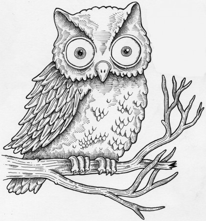 Simple Owl Illustration Images & Pictures - Becuo