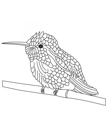 Black chinned hummingbird coloring page | Download Free Black 