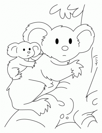 Koala Bear Coloring Page
