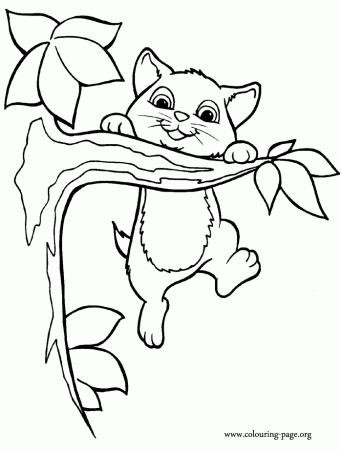 cute coloring pictures of kittens : Coloring Kids – Free Printable 