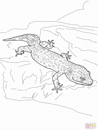 Leopard Gecko Coloring Online Super Coloring 224568 Gecko Coloring 
