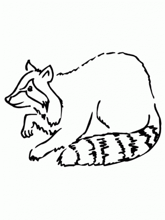 easy draw Raccoon coloring pages | Coloring Pages