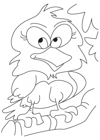 A cute owl coloring page | Download Free A cute owl coloring page 