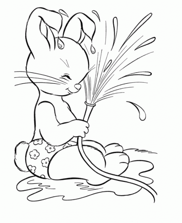 Peter Cottontail Coloring Pages - Peter Cottontail Splash Coloring 