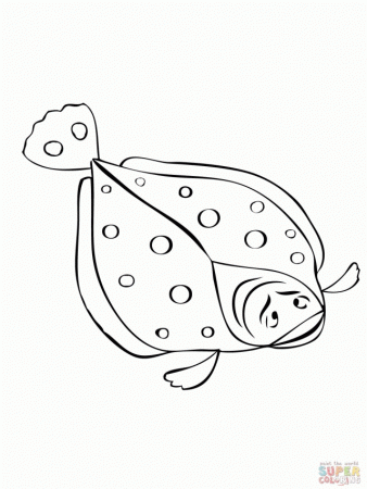 Flounder Fish Coloring Page Id 24378 Uncategorized Yoand 271013 