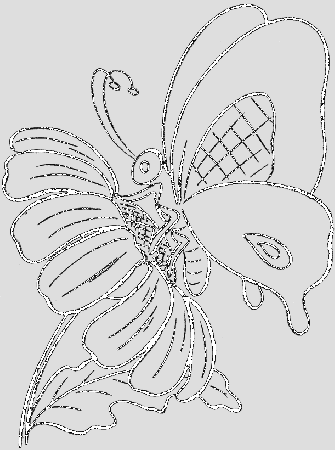 Butterfly And Sun Flower Coloring Pages - Butterflies Coloring 