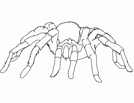 Coloring Pages On Spider And Spider Web Coloring Page In Halloween 