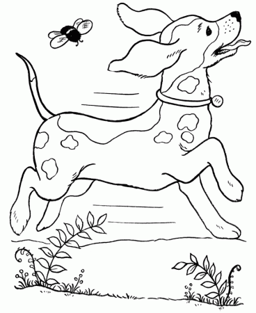 Dog Coloring Pages Printable | Free coloring pages