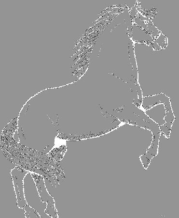 The Stallions Horse Coloring Pages - Horse Coloring Pages : iKids 