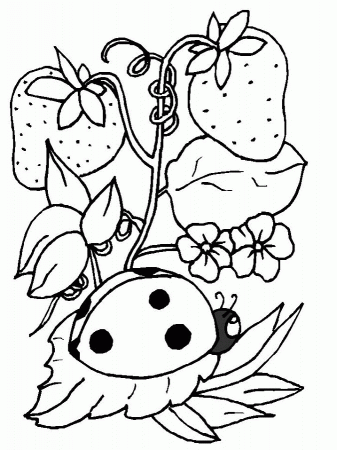 Printable Ladybug Coloring Page The Inky Octopus 2014 | Sticky 