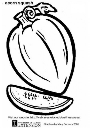 Coloring page acorn squash - img 5777.