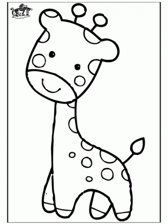 Pin by Jenessa Fredde on My giraffe obsession