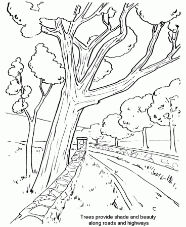 Arbor Day Coloring Pages - Streetside trees Coloring Pages 