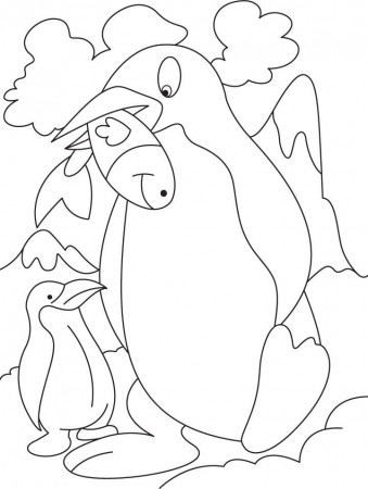 Penguin Picture To Color | Animal Coloring Pages | Kids Coloring 