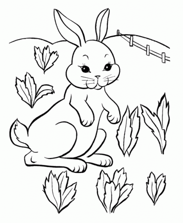 Easter Bunny Coloring Pages - Easter Farm Bunny Coloring Sheet 