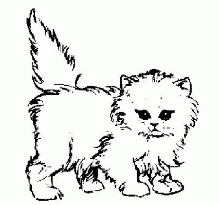 Cats and Kitten Coloring Pages 58 | Free Printable Coloring Pages 