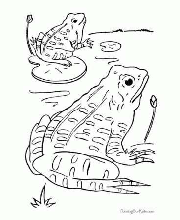 Frog Coloring Pages Printable 80 | Free Printable Coloring Pages