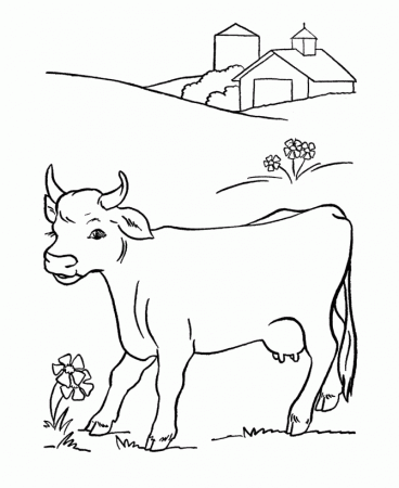 cow-