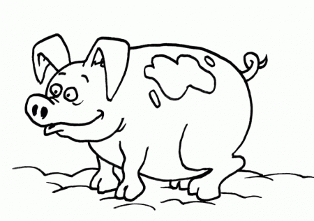 Pig Coloring Free Print - Pig Coloring Pages : Coloring Pages for 