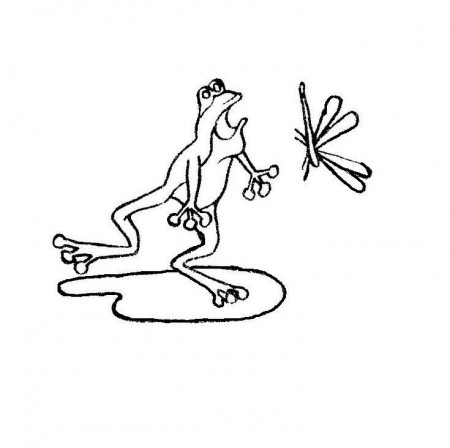 stoner frogs Colouring Pages
