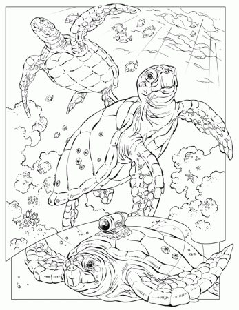 Sea Turtle Coloring Page | Coloring Pages
