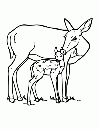 Fawn Coloring Pages Tinkerbell And Rosetta And Fawn Coloring Page 