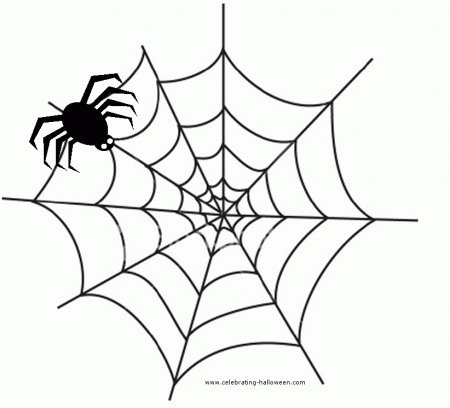 xseeerede2012: spider web images free