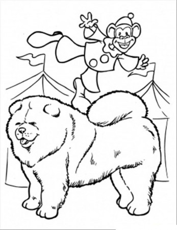 Clown Coloring Pages for Kids- Free Coloring Sheets to download