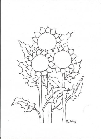 Print Sunflowers Coloring Pages Hd Background In High Resolution 