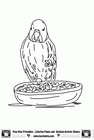 Parrot Coloring Page,Lucy Learns Free Parrot Coloring Sheets to 