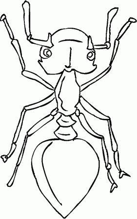 Ants Coloring Printables for Kids