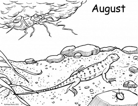 Lizard Coloring Pages For Kids Free Coloring Pages For Kids 121302 