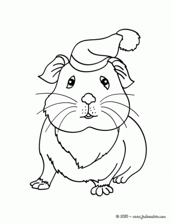 Coloriages COCHON D'INDE - Coloriage d'un GUINEA PIG