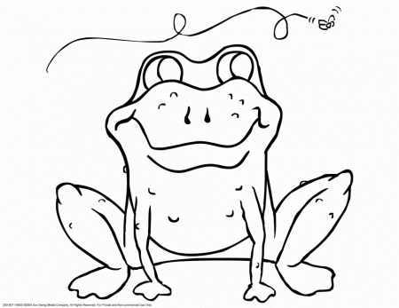 Tree Frog Coloring Pages Coloring Book Area Best Source For 212563 