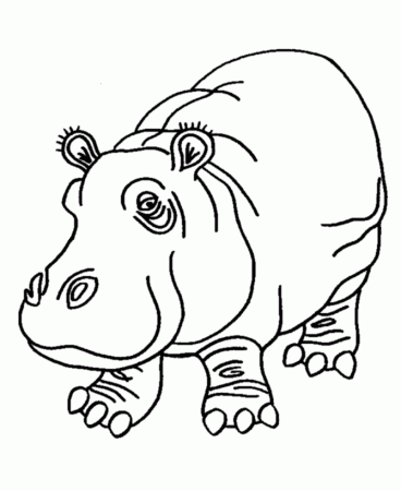Hippopotamus coloring page | coloring pages for kids, coloring 