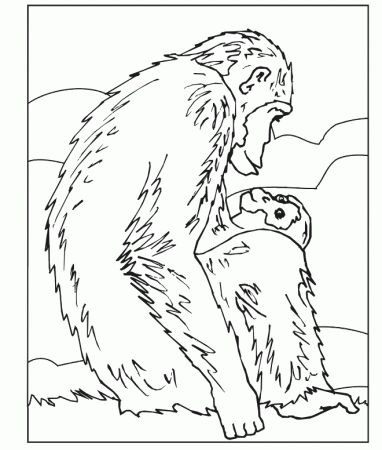 Chimpanzee Coloring Page | Chimpanzee With Baby